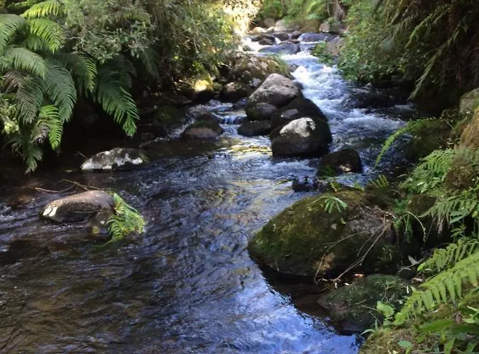 Tui Glen