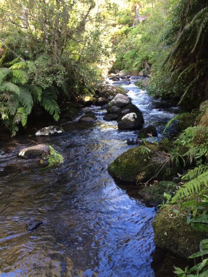 Lodge Tui Glen